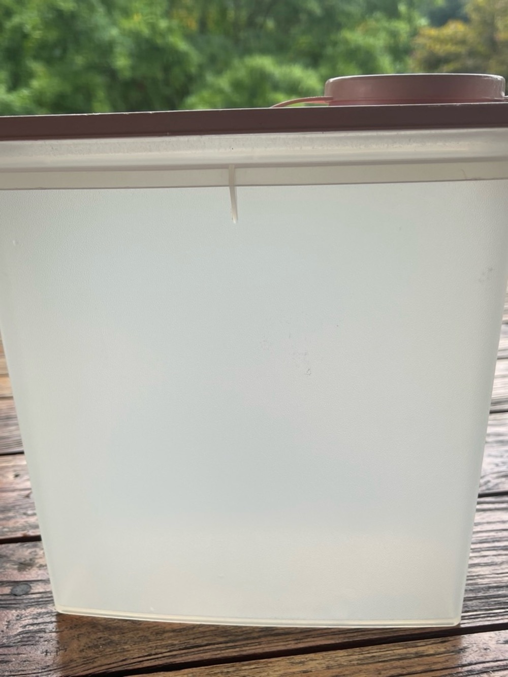 Tupperware Translucent Storage Container with Pink Lid